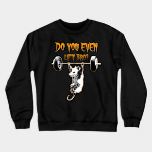 Answer One Question Crewneck Sweatshirt